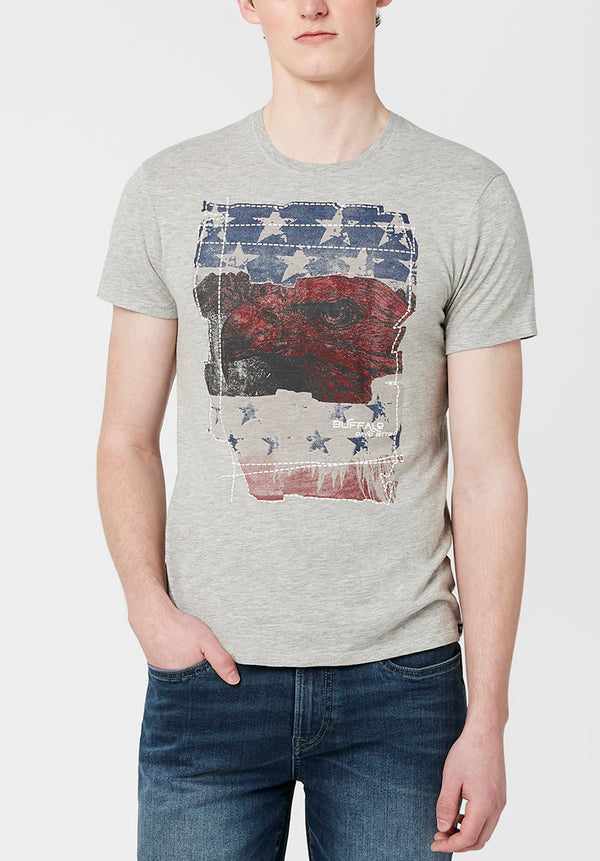 Tuca Americana Men's Flag T-Shirt in Grey - BM23763